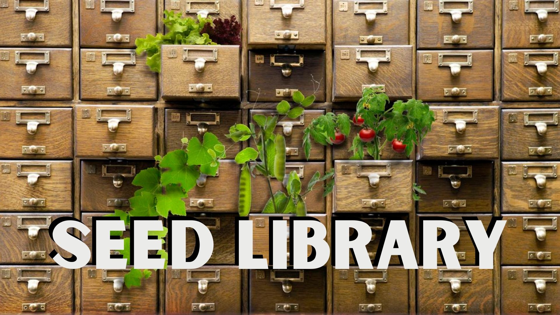 IDEA Lab: Cricut Maker 3  Kanawha County Public Library