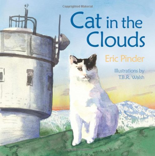 Cat in the Clouds book cover