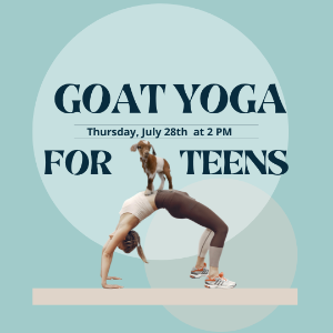 Goat Yoga For Teens